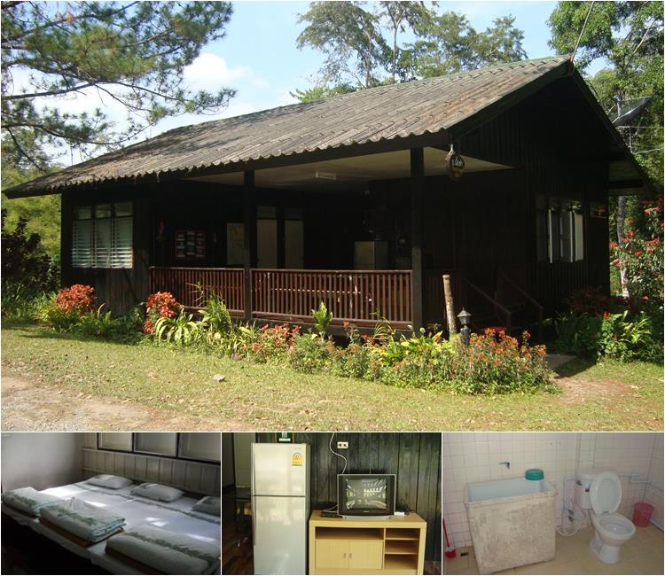 น้ำหนาว 202 (เอื้องคำ)