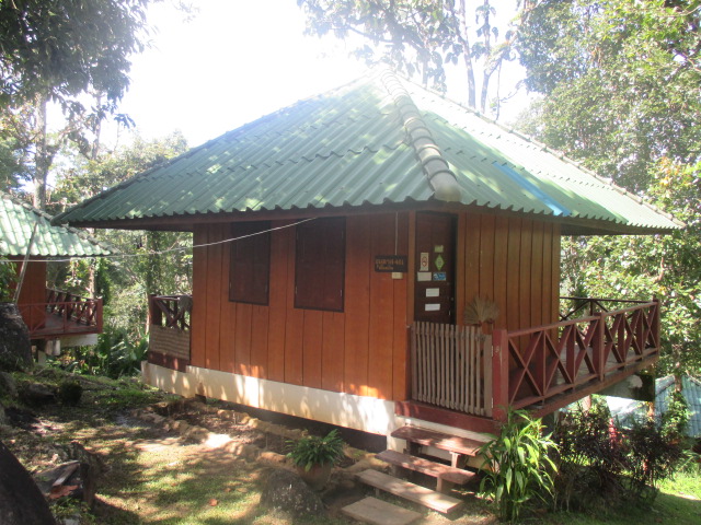 ขุนตาล 401 (เอื้องเงิน)