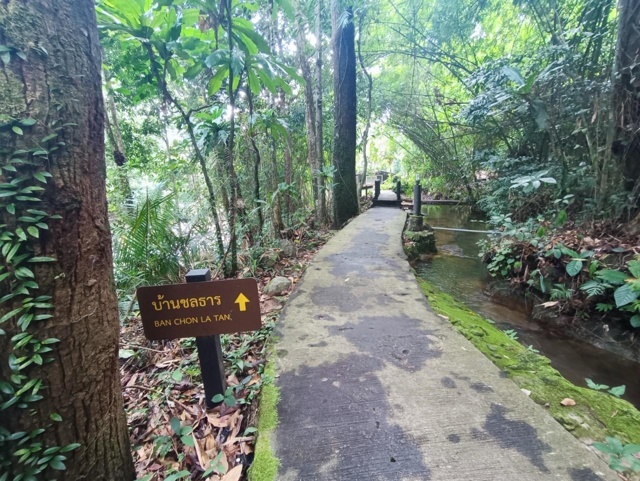 พลิ้ว 101 (ชลธาร)