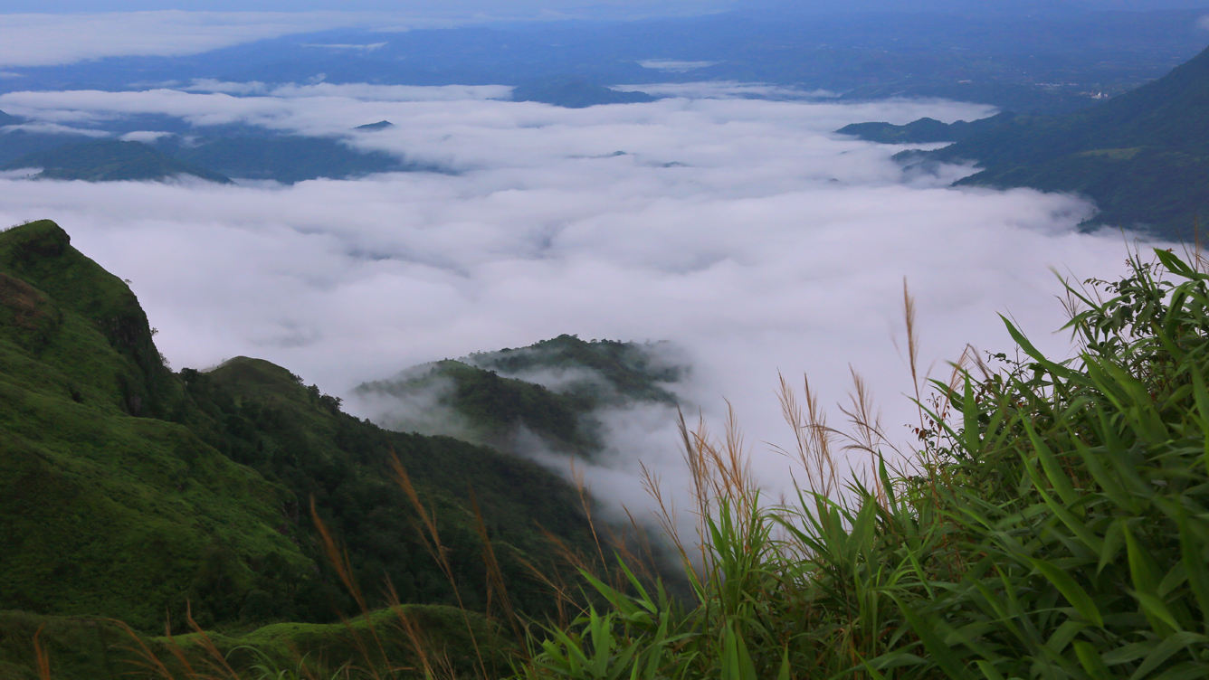 ด้านธรรมชาติที่สวยงาม-ภูแผงม้า