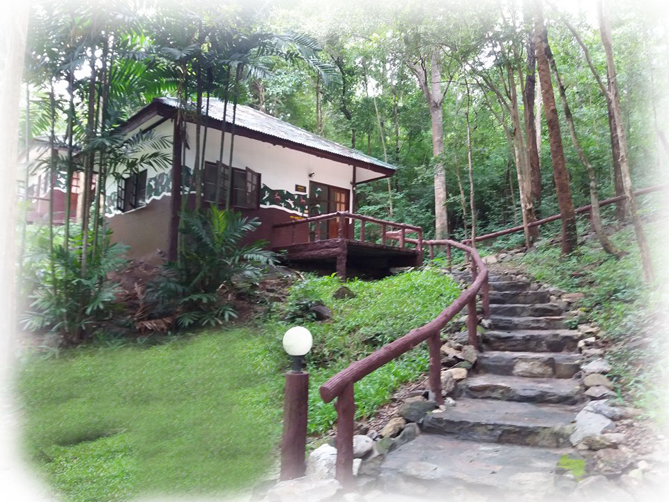 ลานสาง 104 (วนกร)