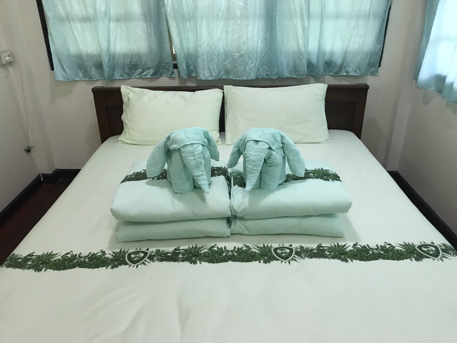 ภูผาเหล็ก 101 (รักษ์ใหญ่)