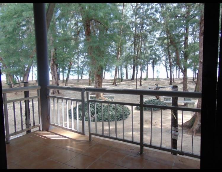 วนกร 202/1 (เกาะท้ายทรีย์)