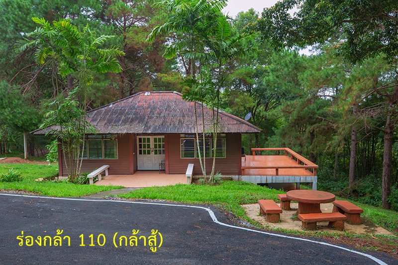 ร่องกล้า 110 (กล้าสู้)
