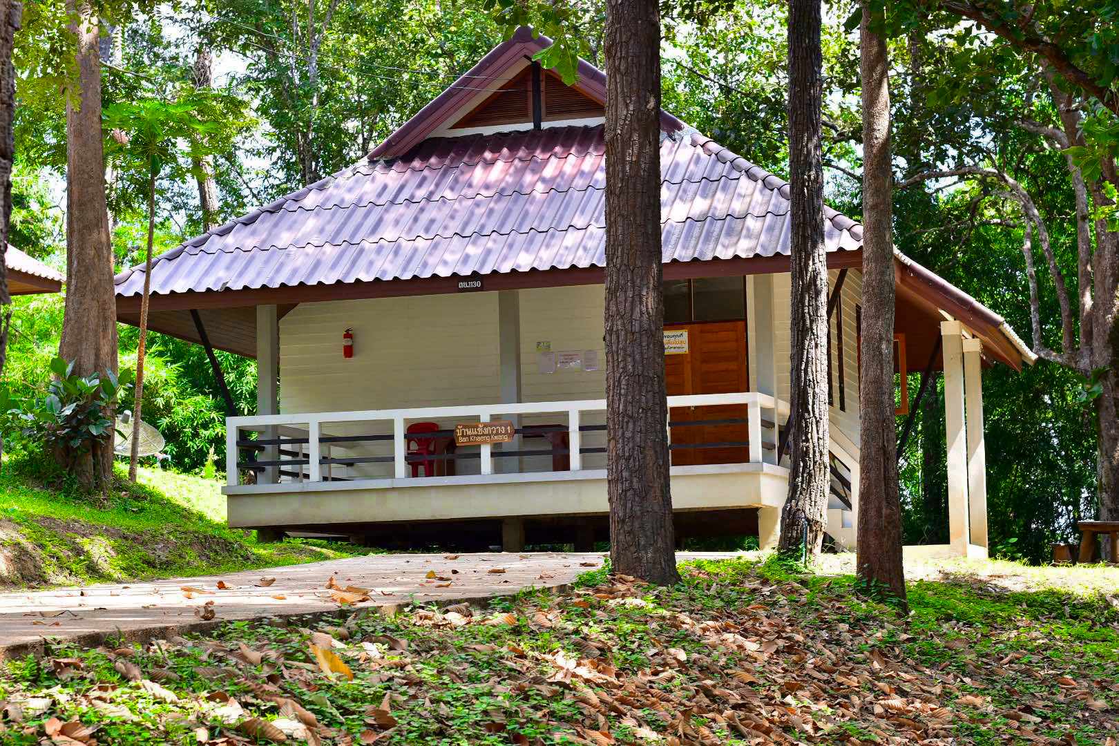 ภูสวนทราย 203 (แข้งกวาง 1)