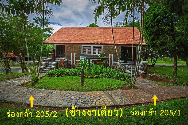 ร่องกล้า 205/2 (ช้างงาเดียว)