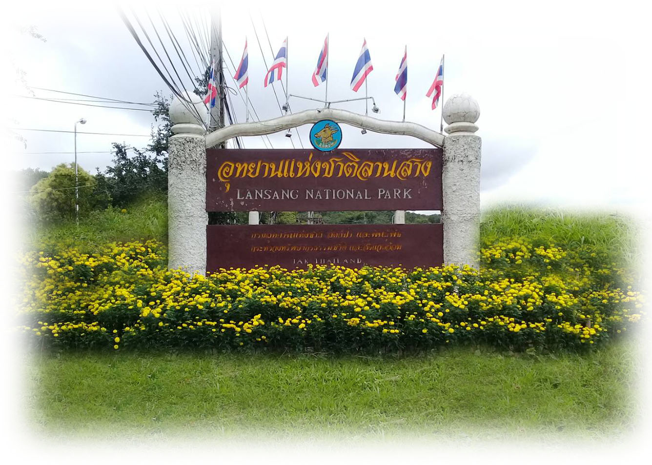 โซน 2 โซนศูนย์บริการนักท่องเที่ยว ห่างจากที่ทำการอุทยานแห่งชาติ 2 กม. บริการบ้านพัก