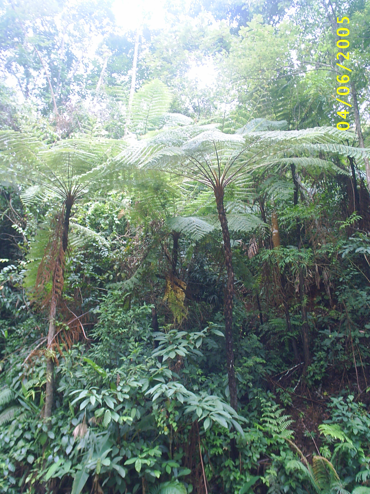 ด้านธรรมชาติที่สวยงาม - เส้นทางสายเชิงทอง-กิ่วเคียน