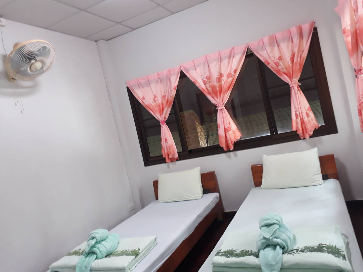 ลำน้ำน่าน 102 (ชงโค)