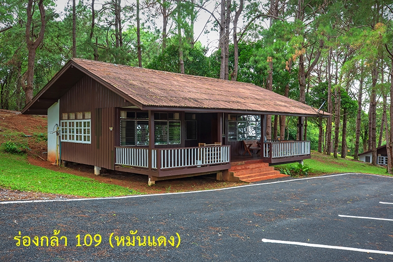 ร่องกล้า 109 (หมันแดง)