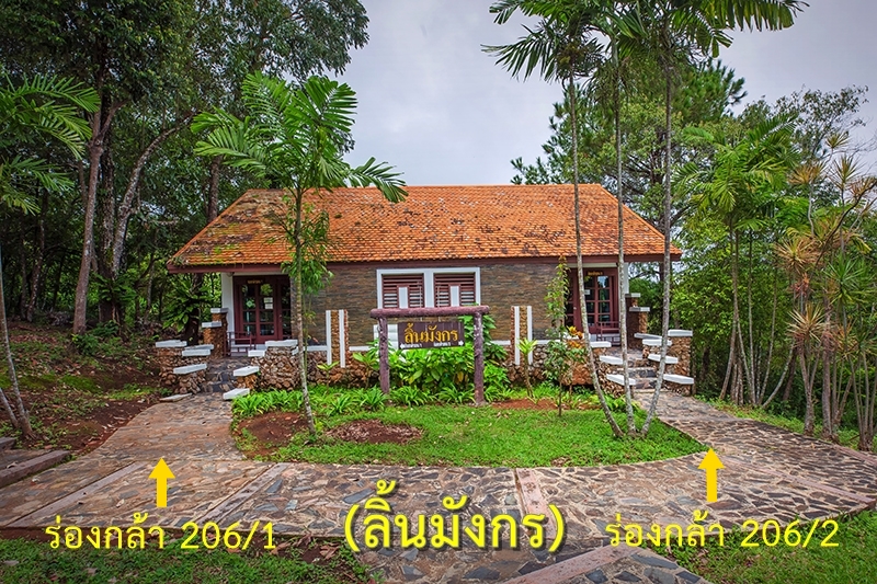 ร่องกล้า 206/2 (ลิ้นมังกร)