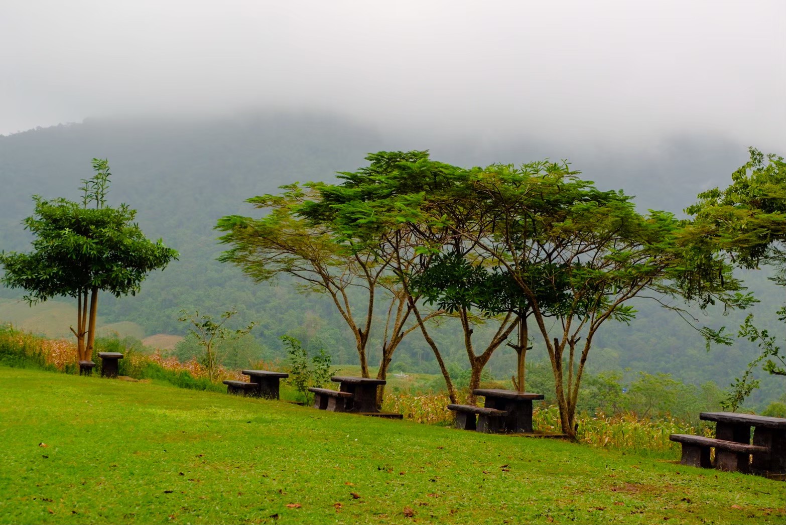 ลานบริเวณจุดสกัดชั่วคราวตะเพินคี่ (พื้นที่กางเต็นท์)