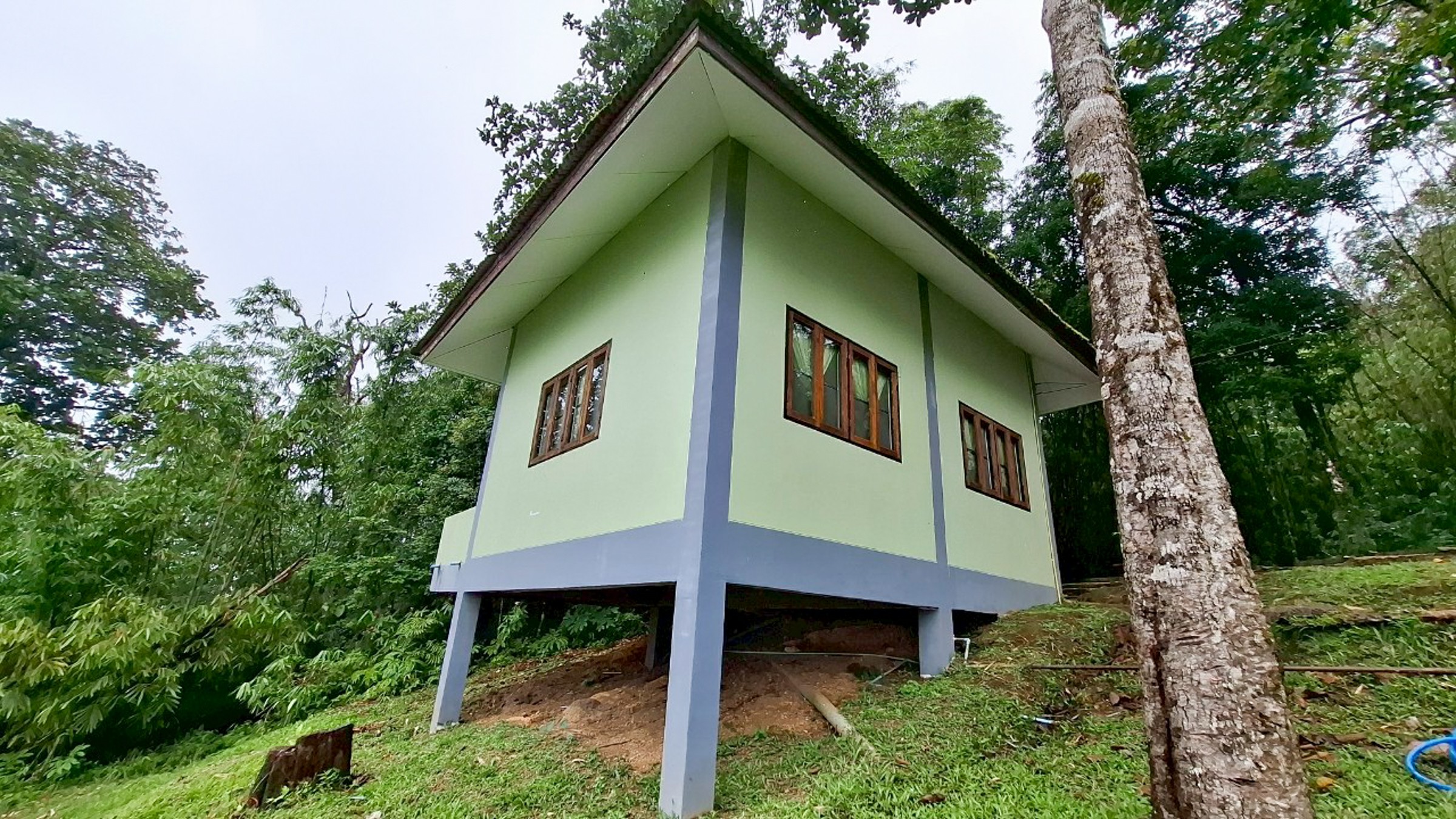 ทองผาภูมิ 106 (ชมดอย 4)