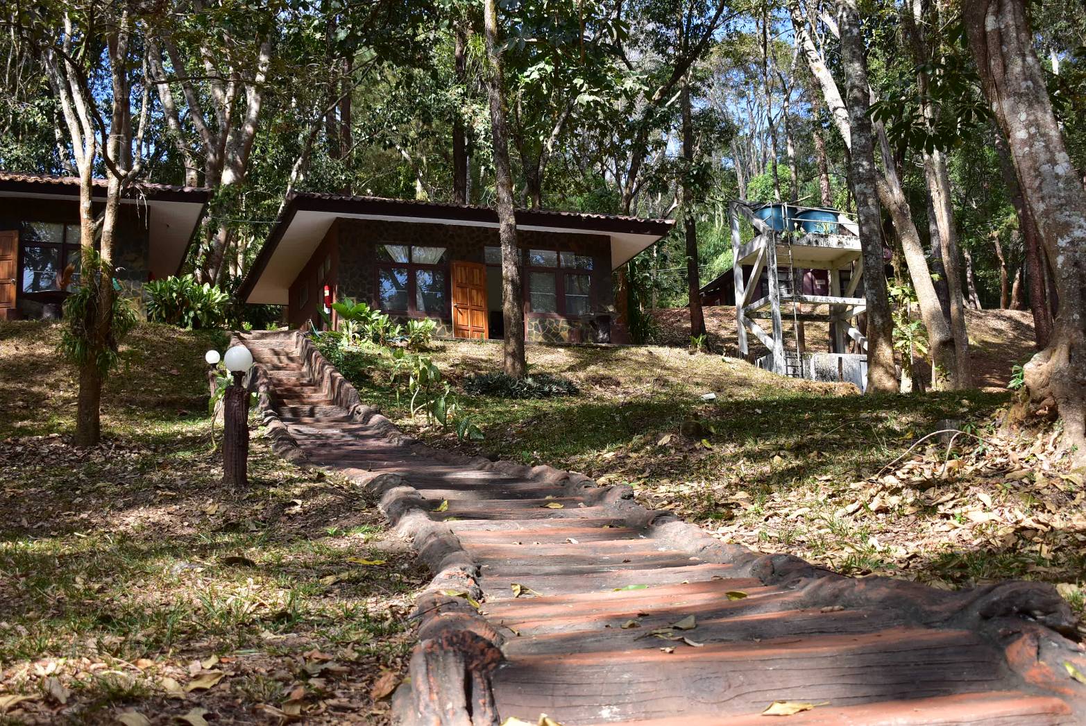 ภูเรือ 105 (กุหลาบขาว)