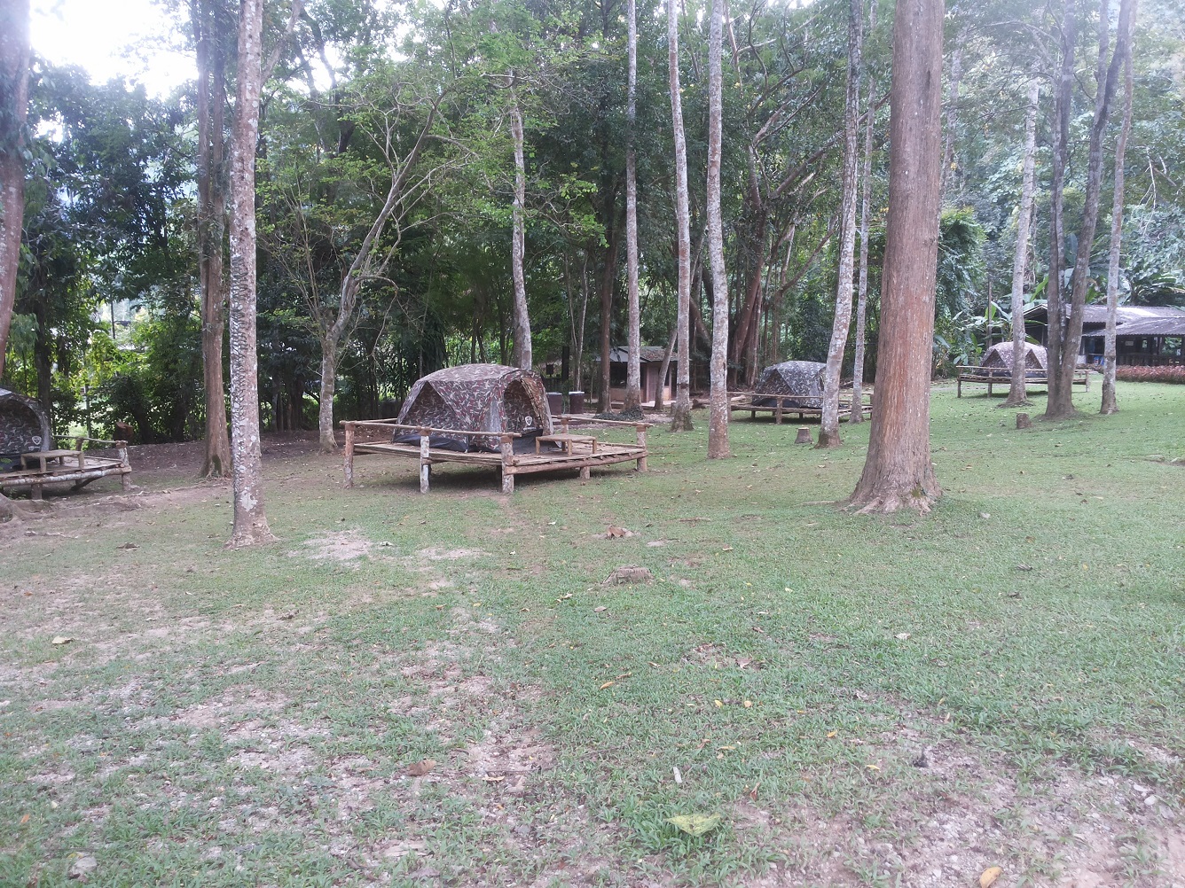 ลานดอยหลวง (พื้นที่กางเต็นท์)