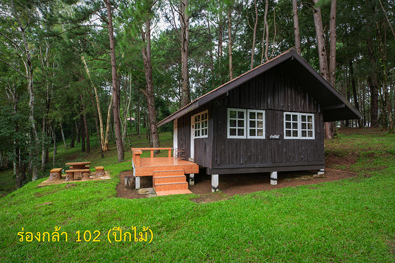 ร่องกล้า 102 (ปีกไม้)