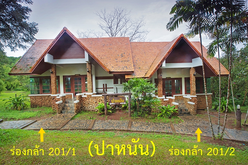 ร่องกล้า 201/2 (ปาหนัน)