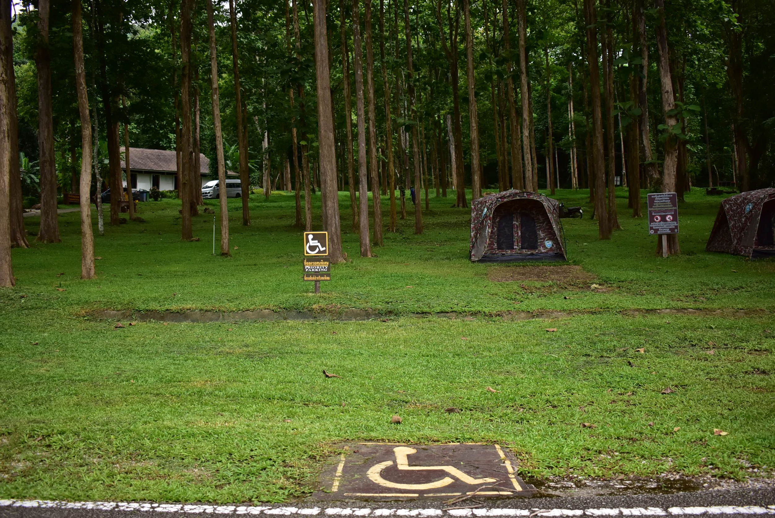 ลานแจ้ซ้อน (พื้นที่กางเต็นท์)