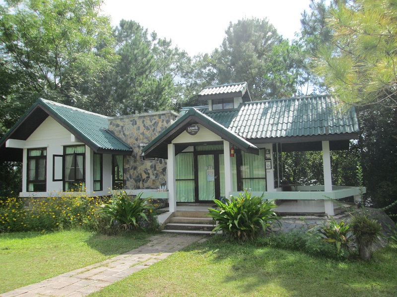 น้ำหนาว 101 (เทพทาโร)