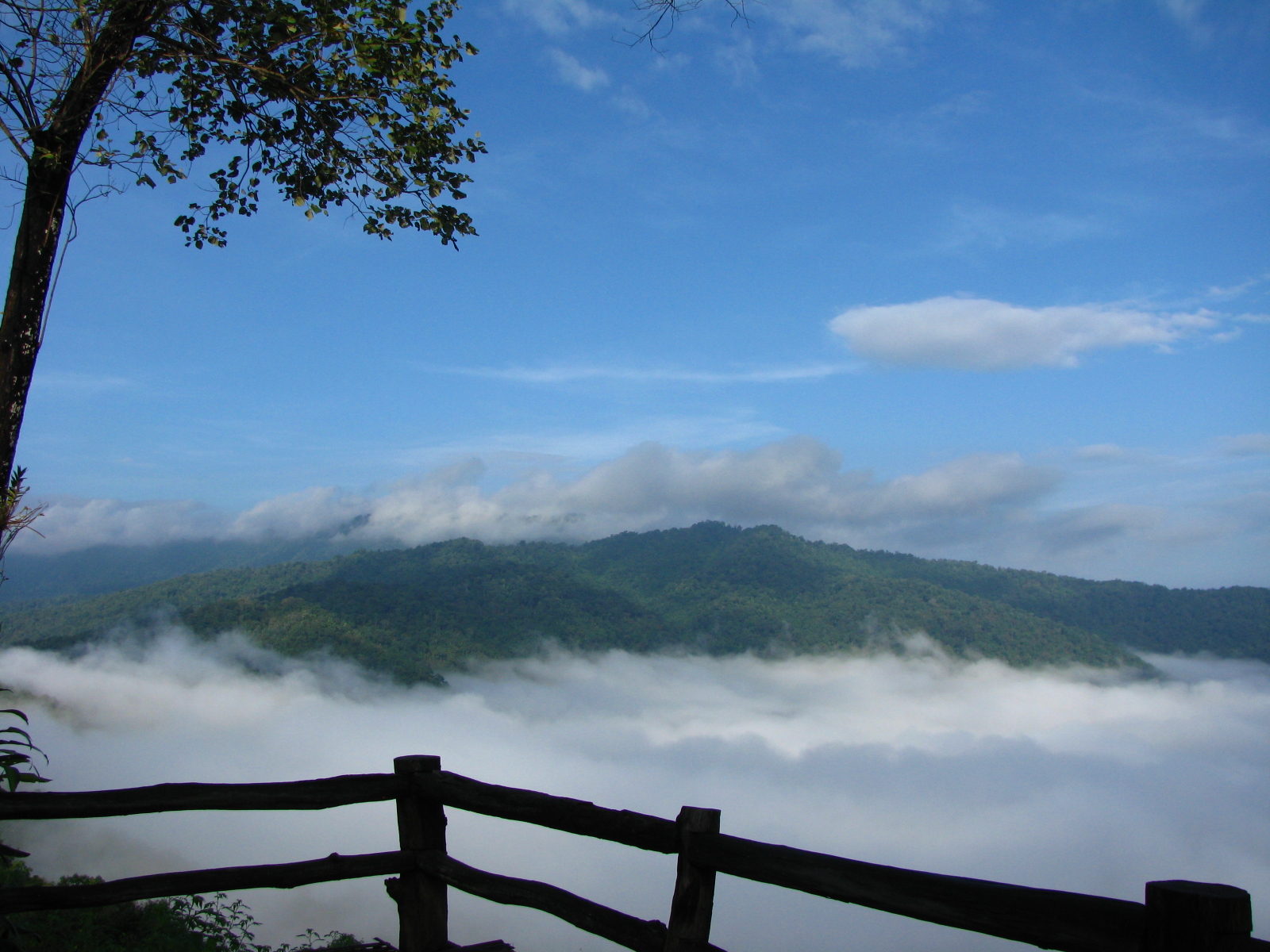 ภูหัวฮ่อม