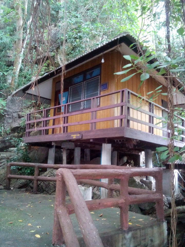 เภตรา 104 (ปีปี)