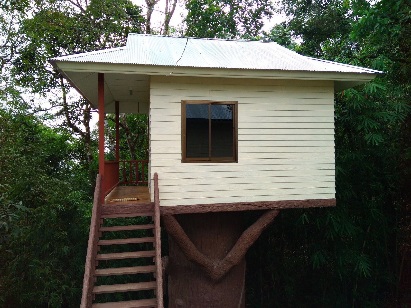 ทองผาภูมิ 102 (ทาร์ซาน 2)
