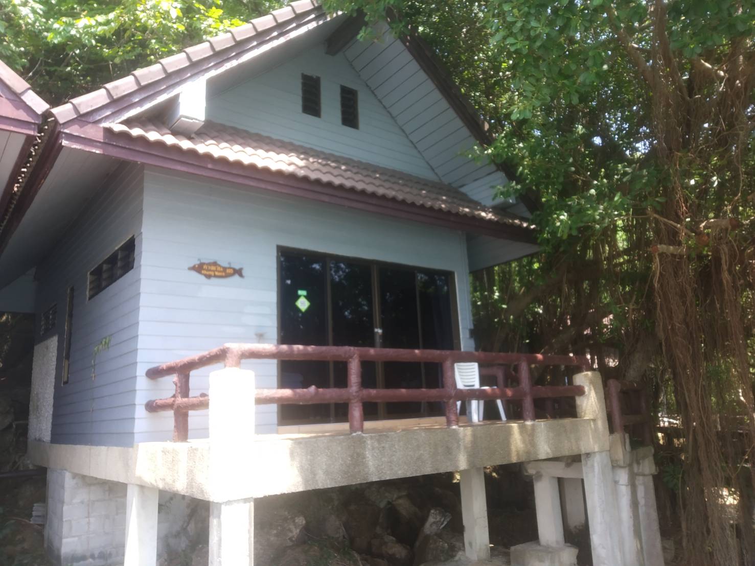 เภตรา 105 (ค่างแว่น)