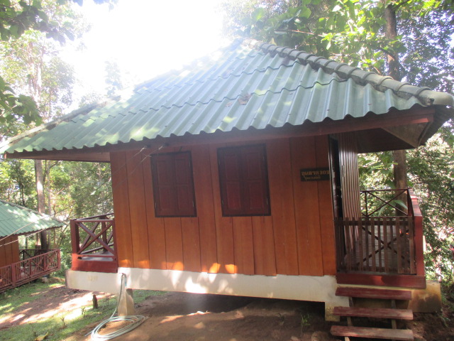 ขุนตาล 303 (กุหลาบพันปี)