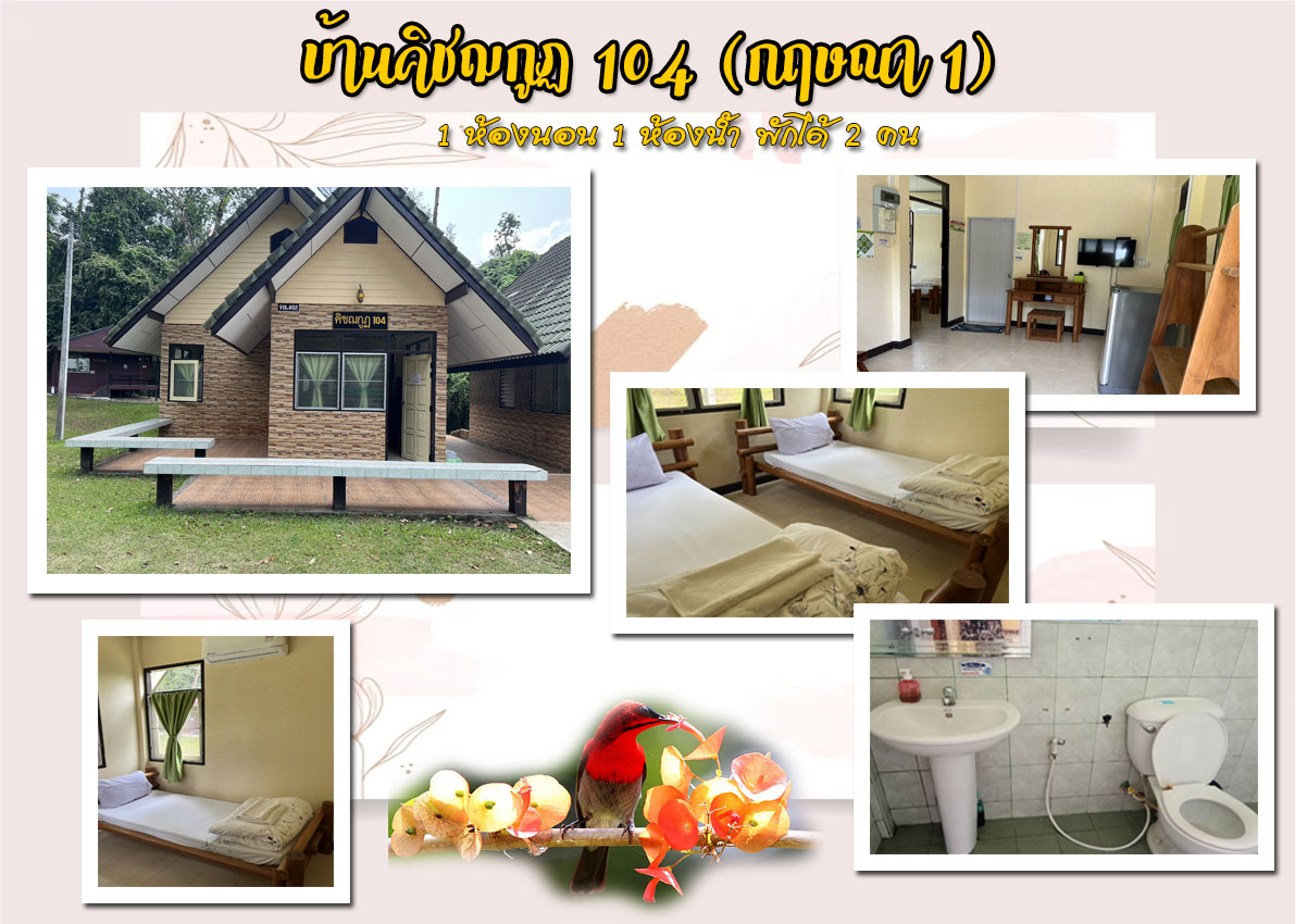 คิชฌกูฎ 104 (กฤษณา 1)