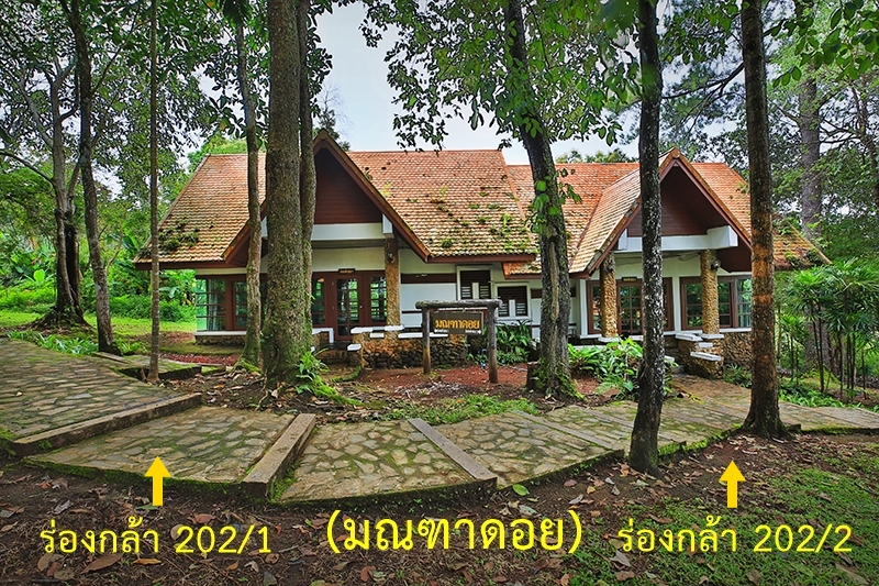 ร่องกล้า 202/1 (มณฑาดอย)