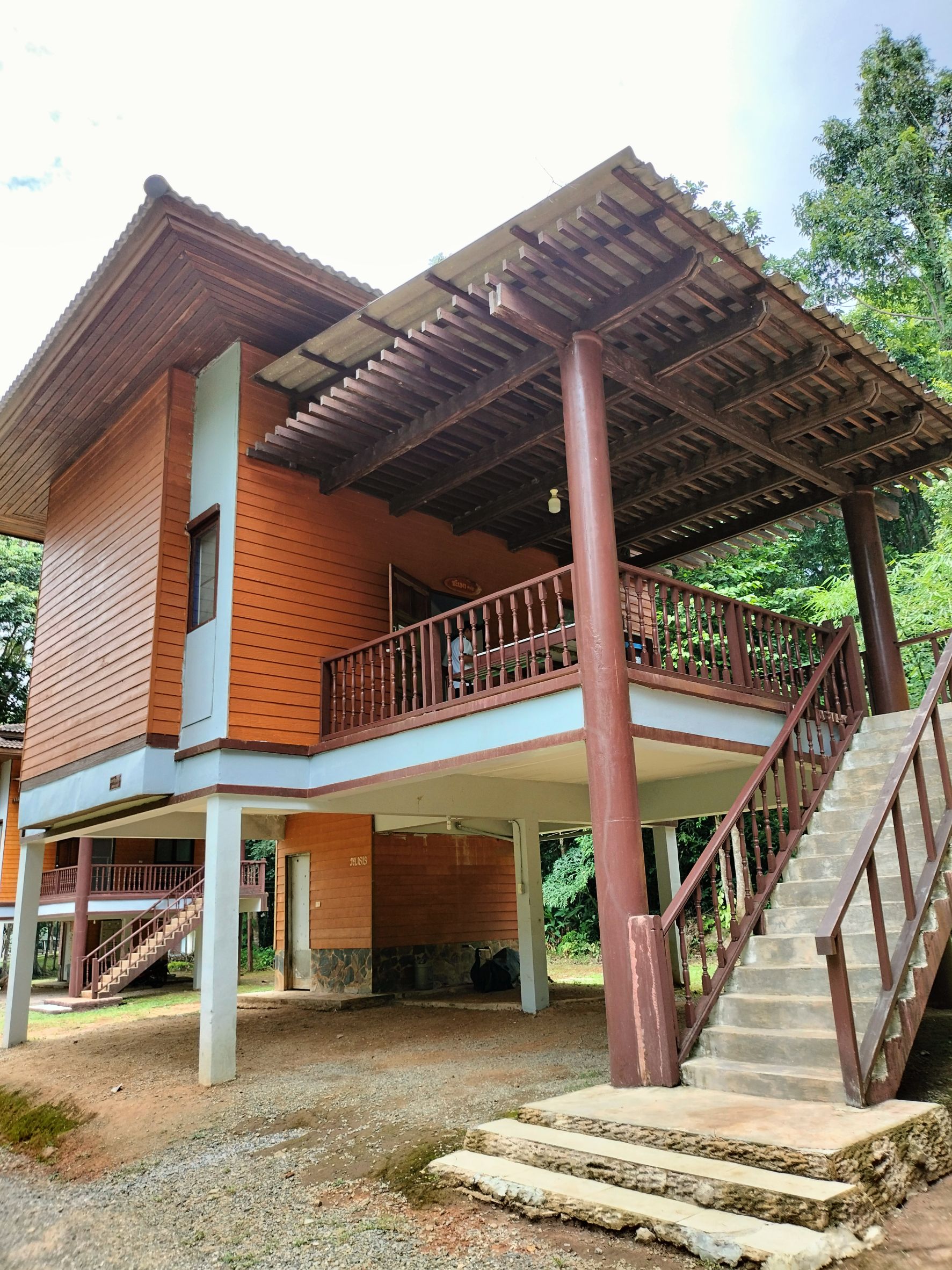 ชะเมา 114 (มะพร้าวสีดา 4)