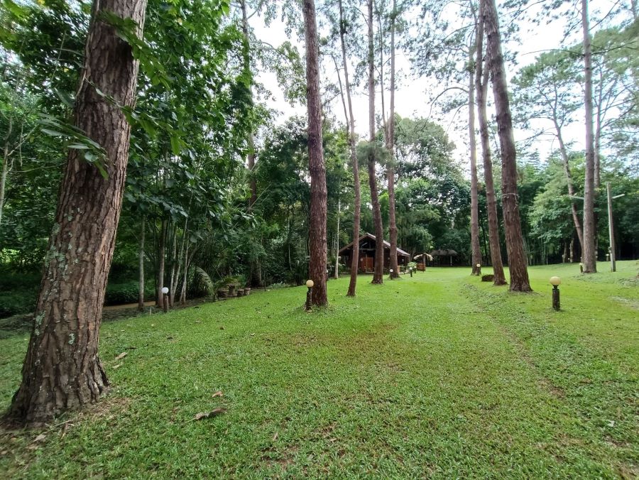 ลานเขาค้อ (พื้นที่กางเต็นท์)
