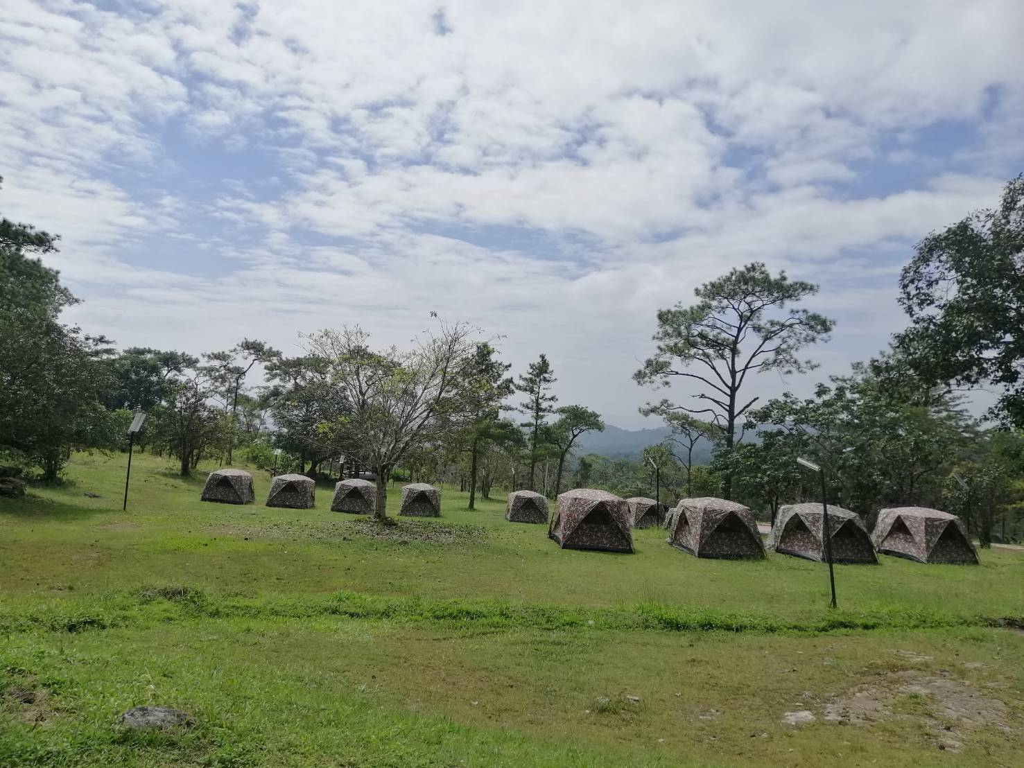 ลานภูสน (พื้นที่กางเต็นท์)