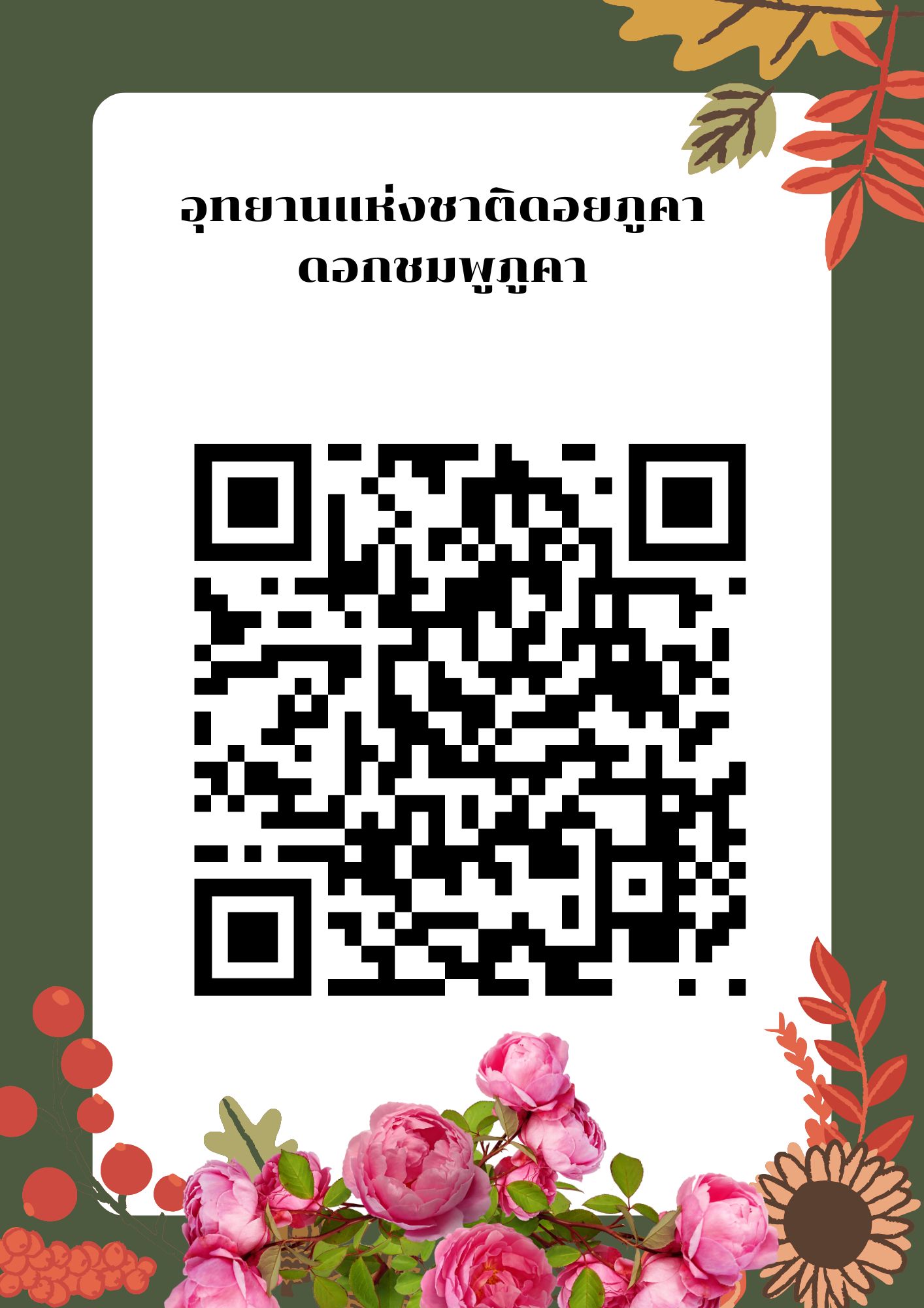 ภูคา 102 (ก่วมภูคา)