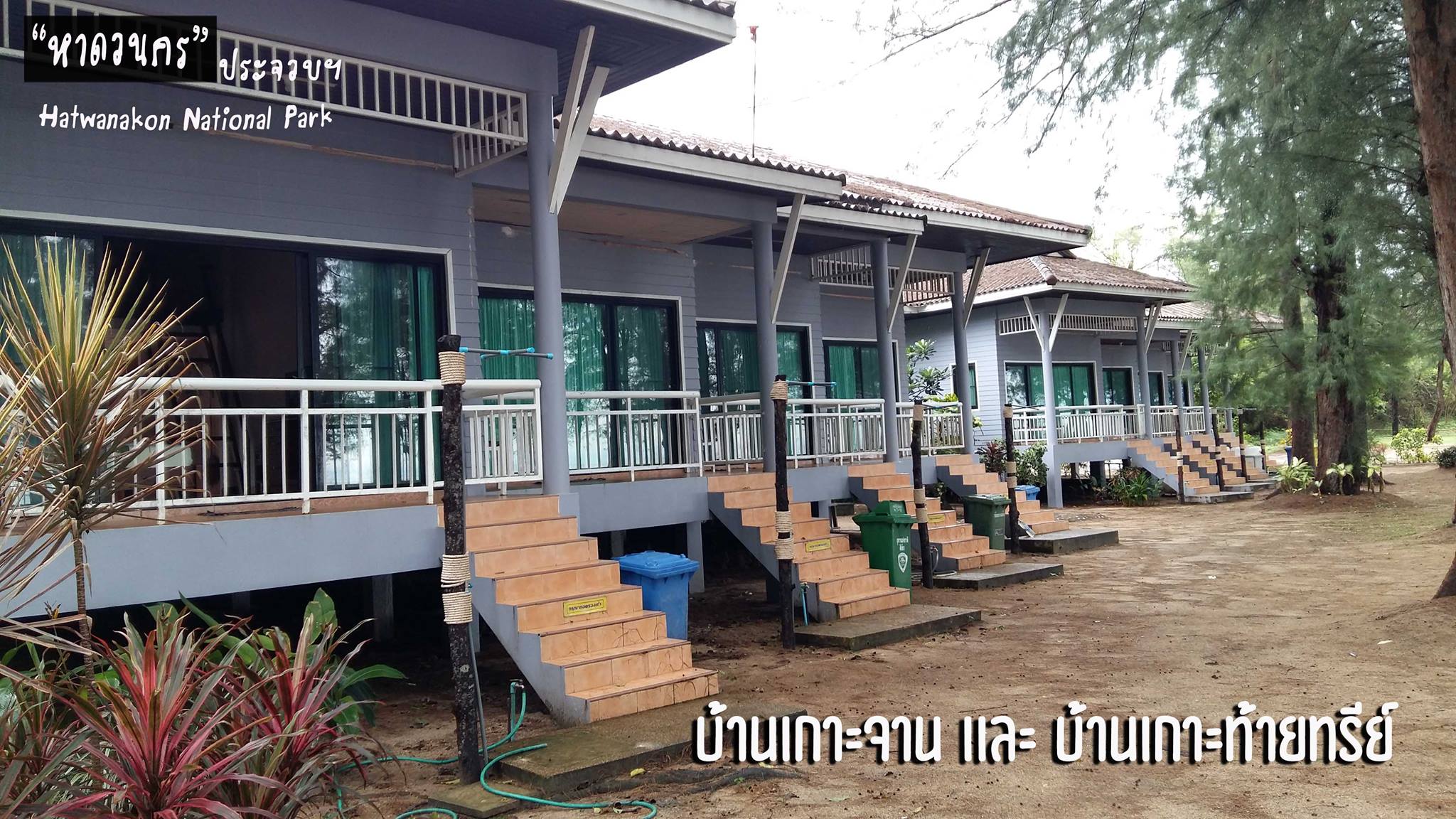 วนกร 202/4 (เกาะท้ายทรีย์)
