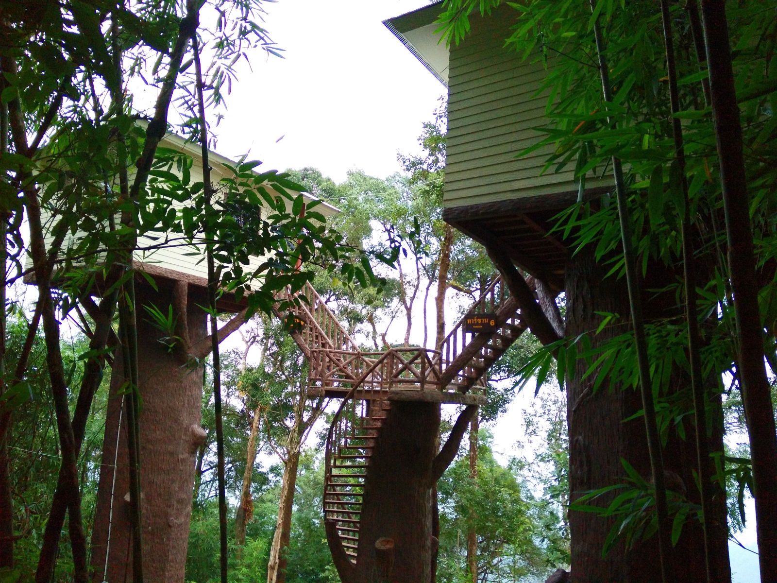 ทองผาภูมิ 101 (ทาร์ซาน 1)