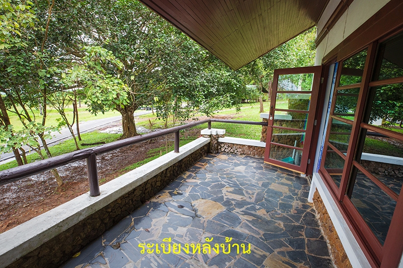 ร่องกล้า 205/1 (ช้างงาเดียว)