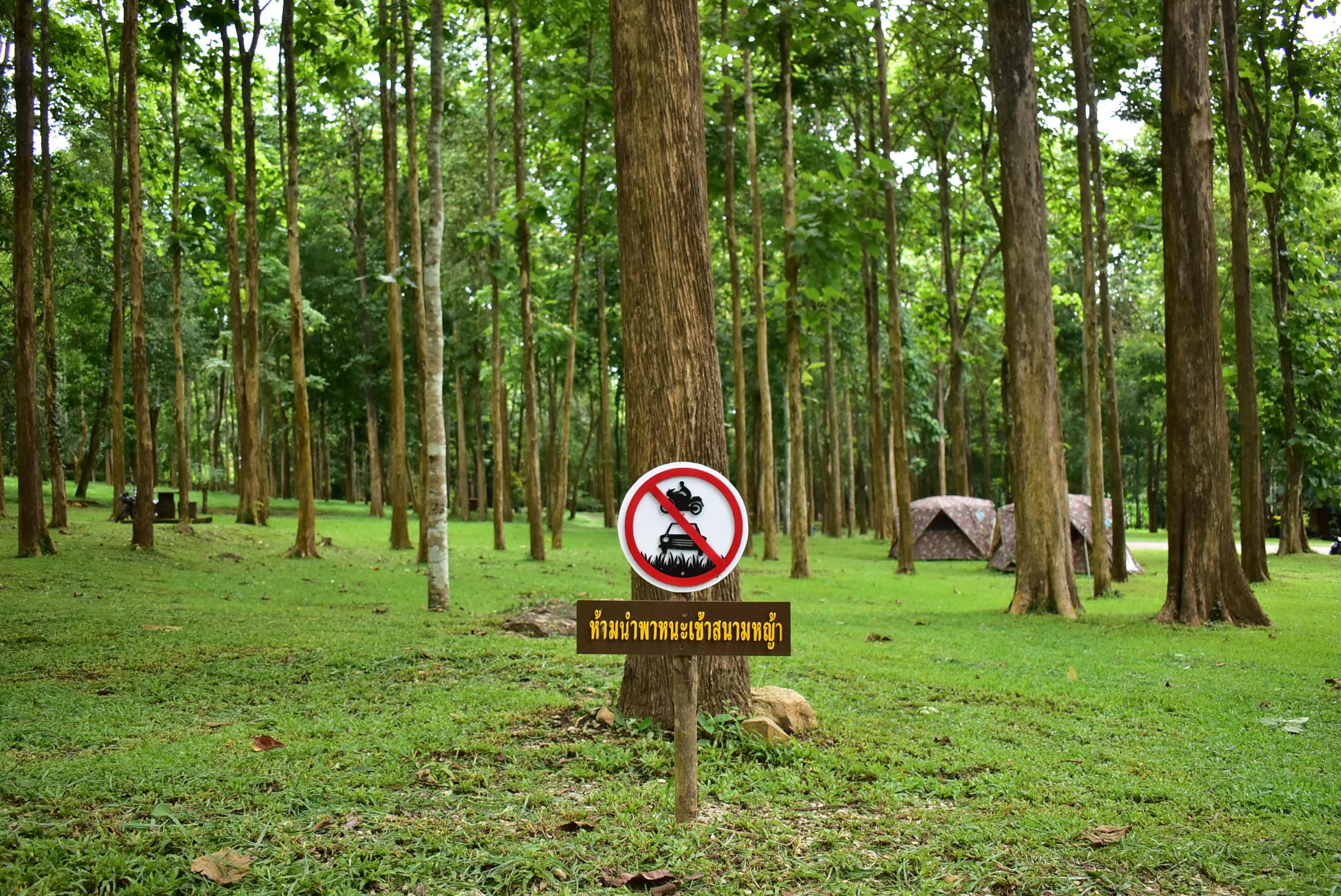 ลานแจ้ซ้อน (พื้นที่กางเต็นท์)