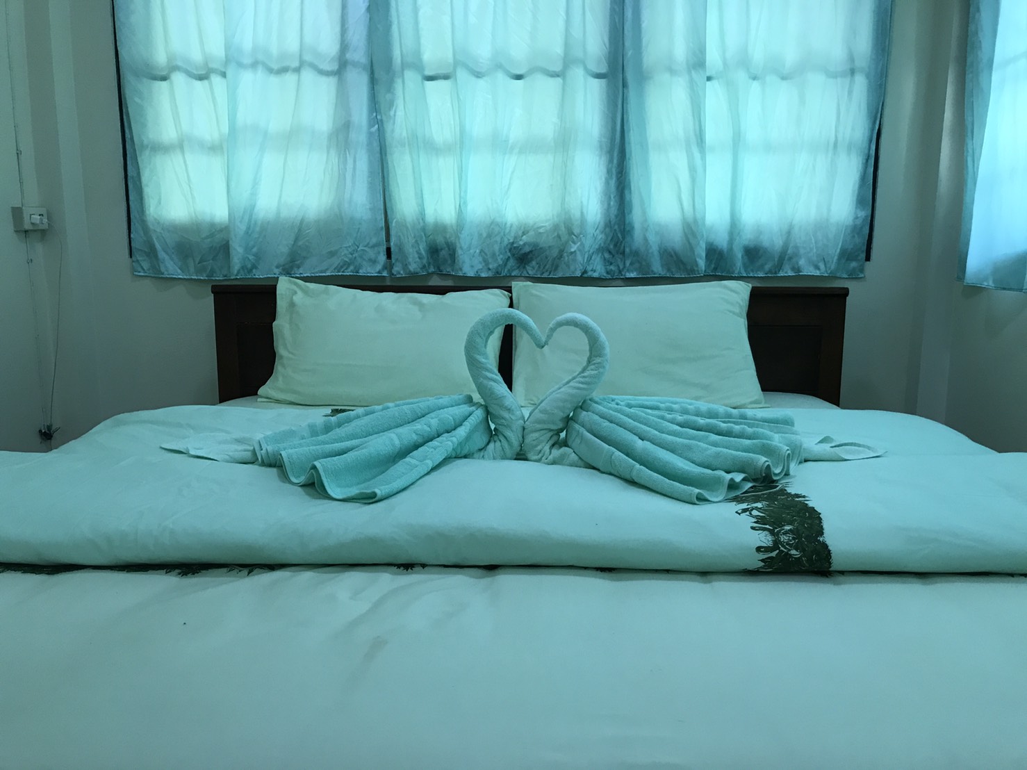 ภูผาเหล็ก 101 (รักษ์ใหญ่)