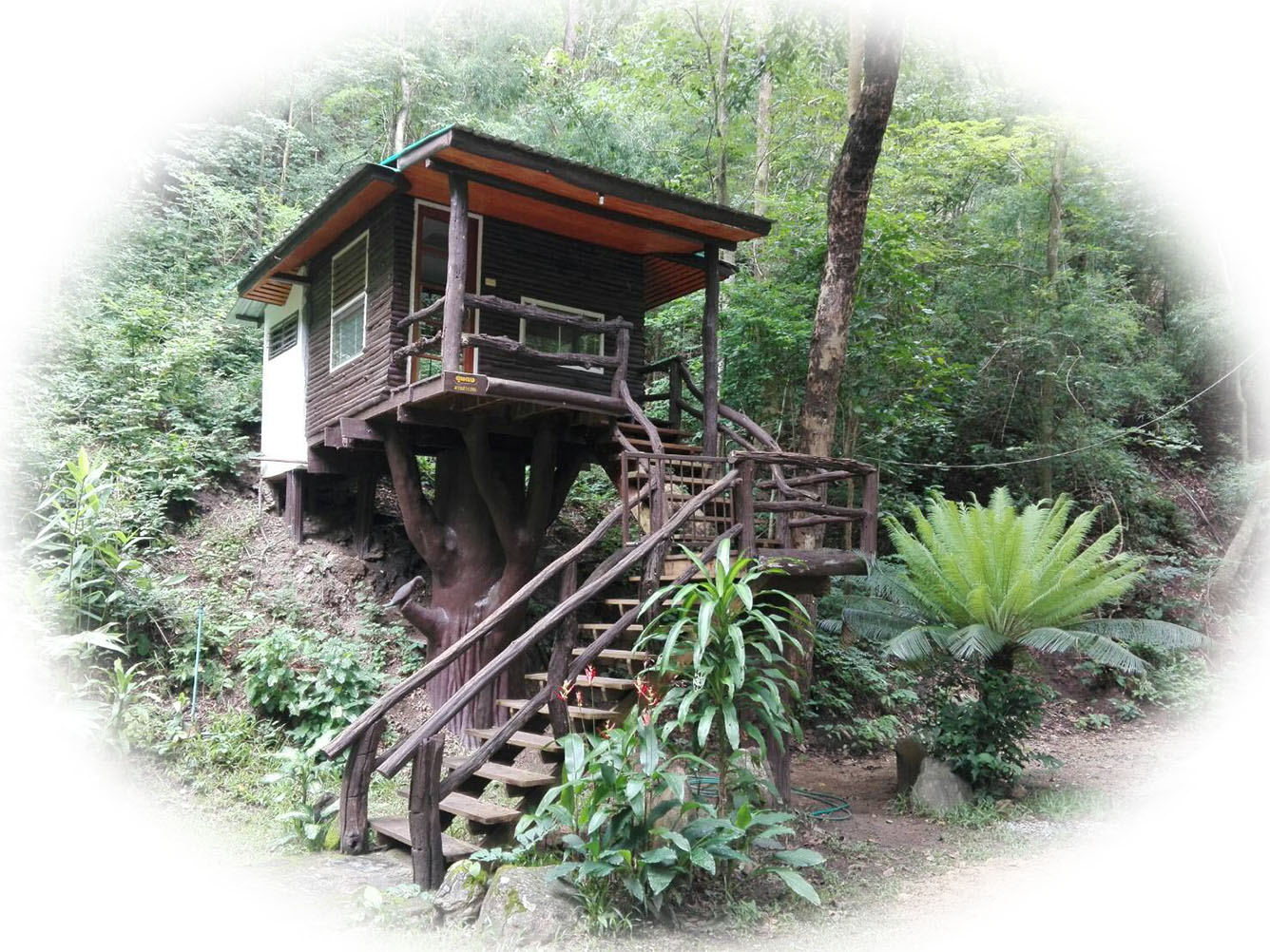 ลานสาง 205 (ขุนดง)