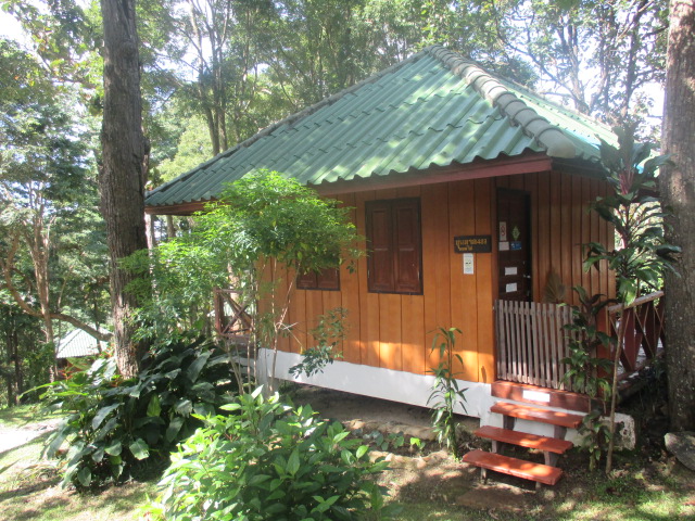 ขุนตาล 403 (เอื้องมอนไข่)