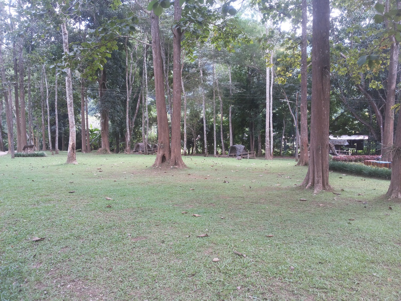 ลานดอยหลวง (พื้นที่กางเต็นท์)