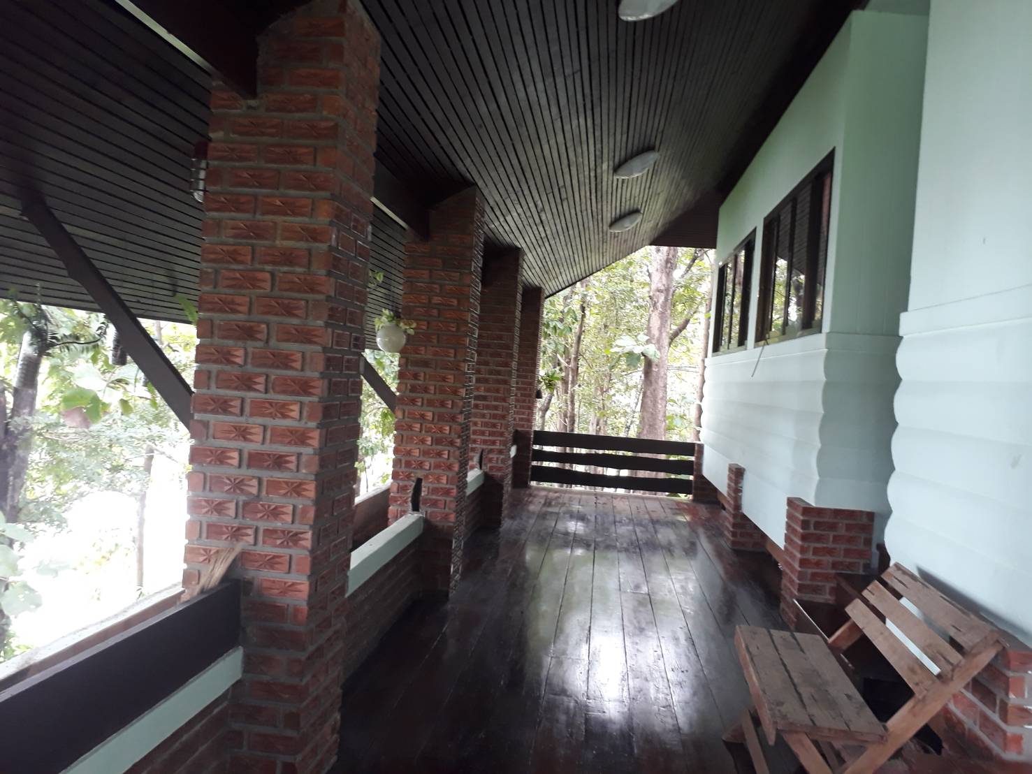 ลำน้ำน่าน 102 (ชงโค)