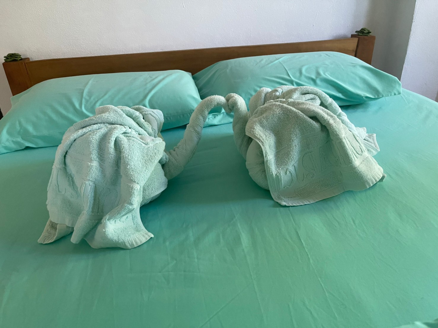 ภูนาง 102 (ชมดอย 2)