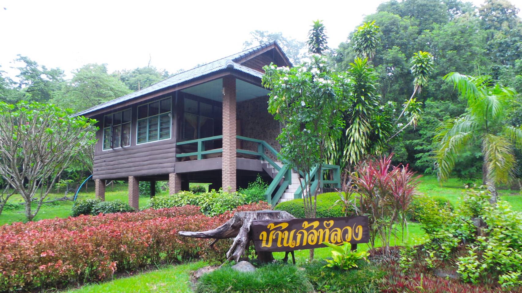 แม่ปิง 401 (ก้อหลวง)