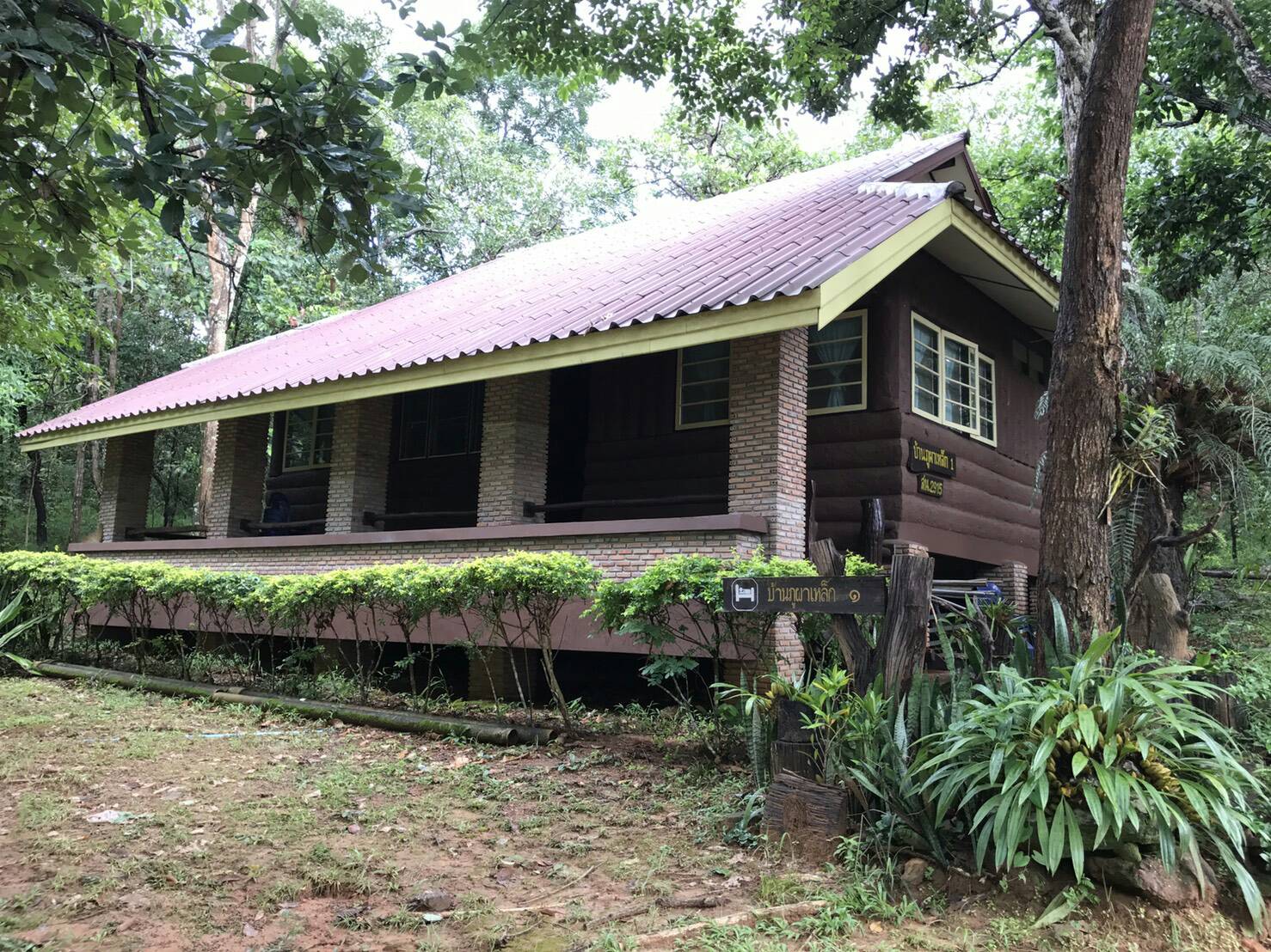 ภูผาเหล็ก 101 (รักษ์ใหญ่)