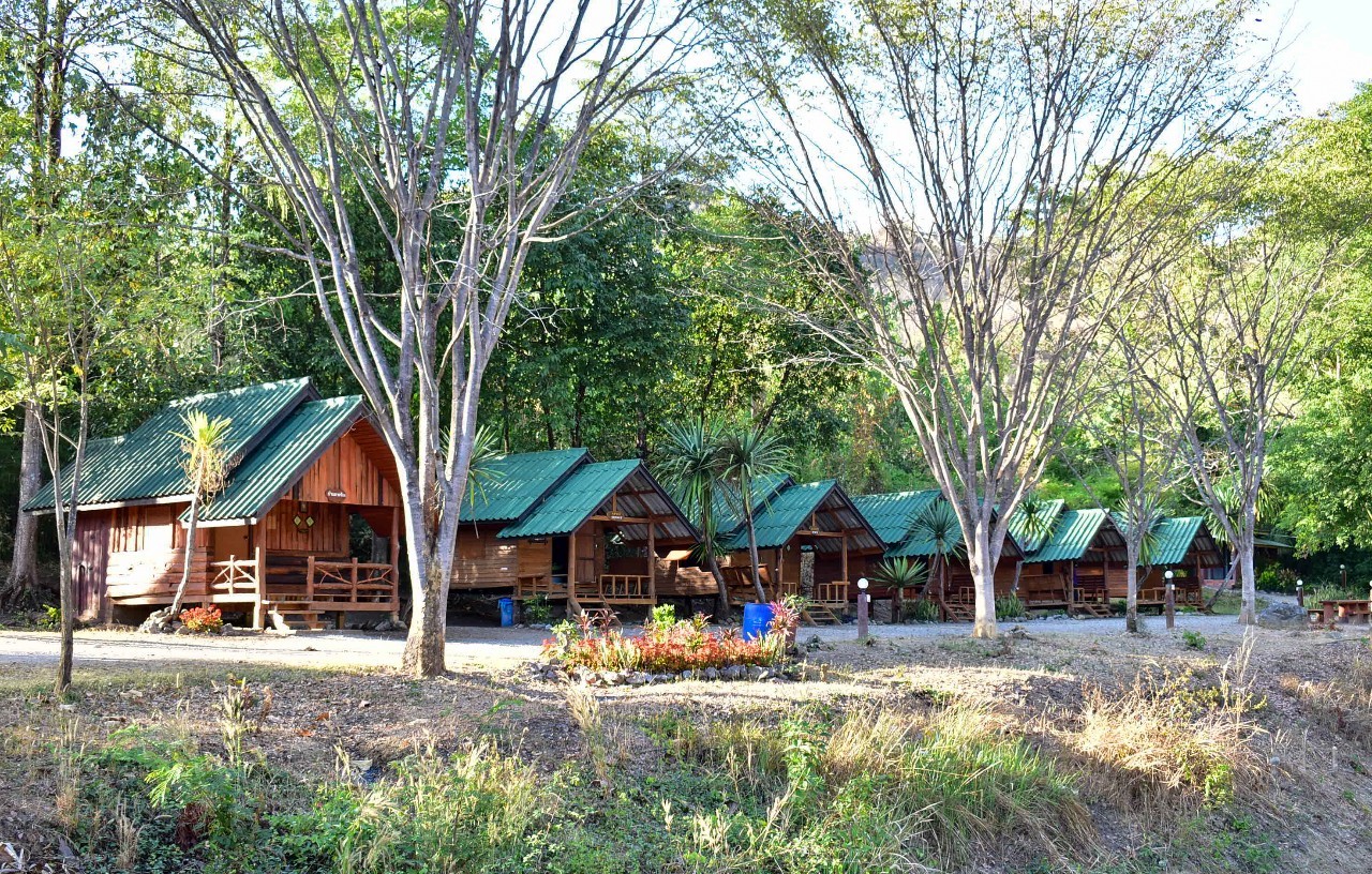 ผาม่าน 202 (ผาพวง)