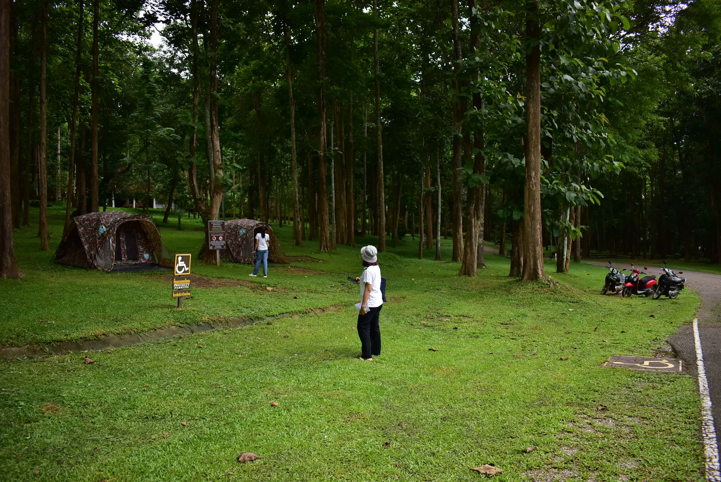ลานแจ้ซ้อน (พื้นที่กางเต็นท์)