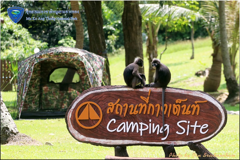 ลานวัวตาหลับ (พื้นที่กางเต็นท์)