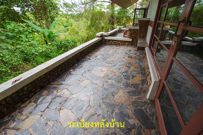 ร่องกล้า 206/1 (ลิ้นมังกร)